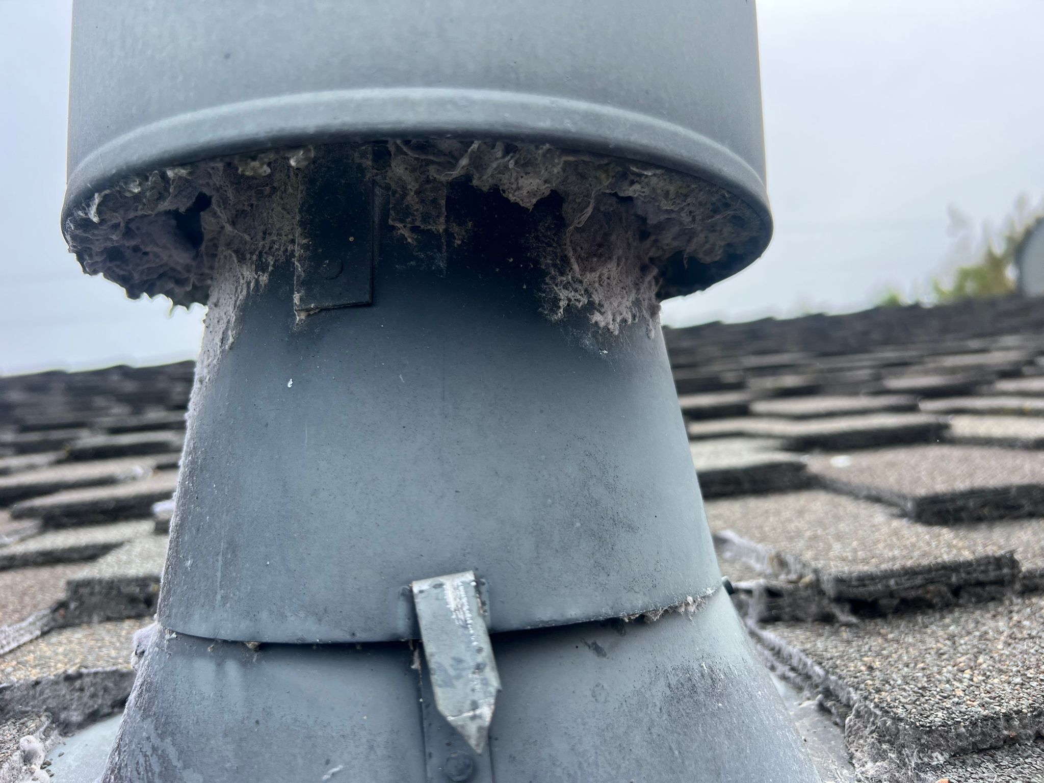 Flue sweeping equipment